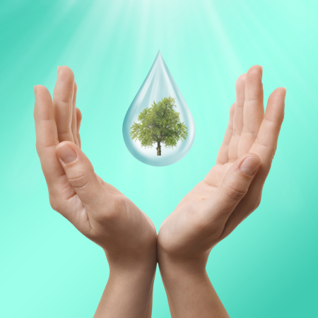 Water