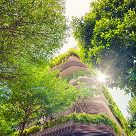 Green Architecture